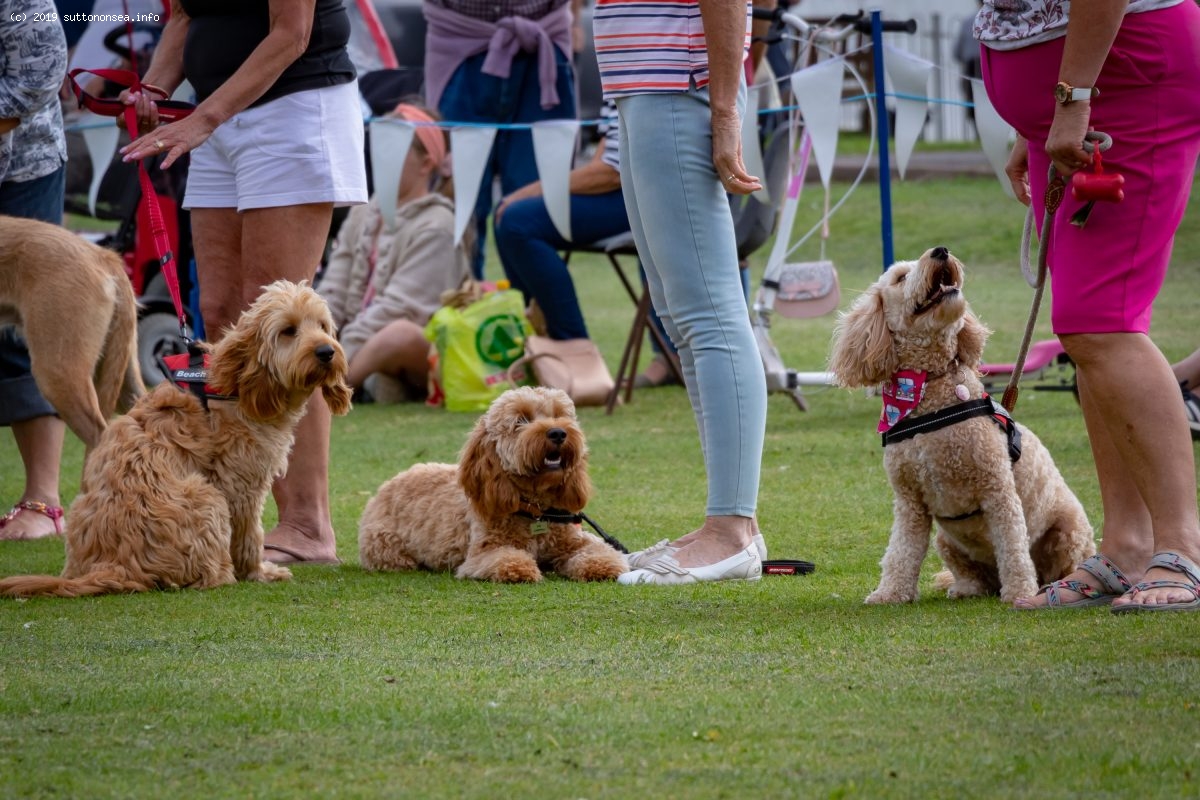 The Furlongs Festival in Sutton on Sea Sutton on Sea, Lincolnshire