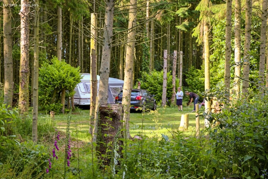 Galley Hill Camping and Caravan Site Surrounded by Mature Trees