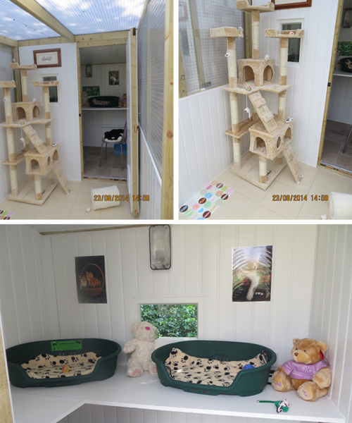 Puddy Cats Cattery Mablethorpe, Lincolnshire